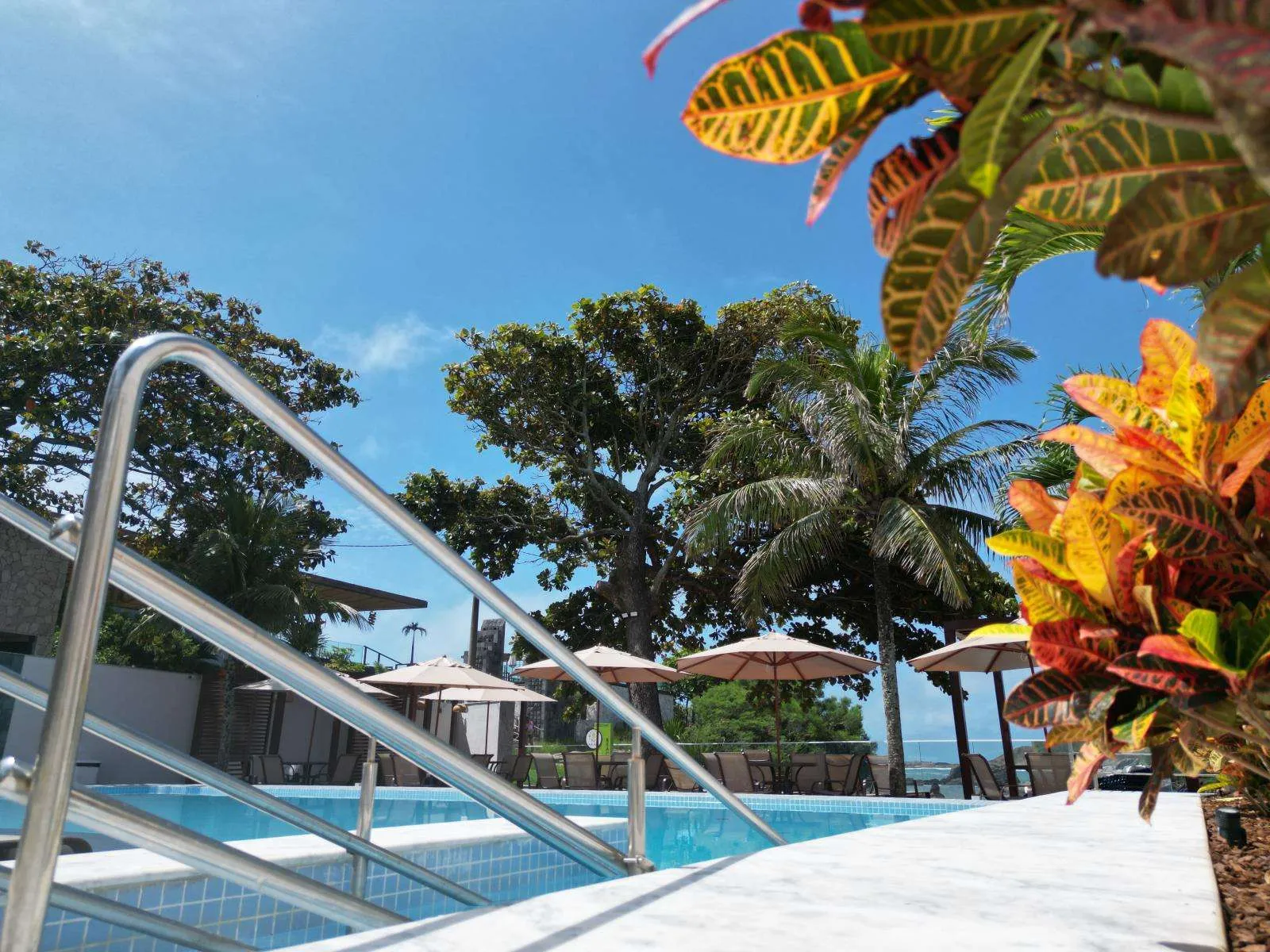 Escada da piscina entre vegetação tropical